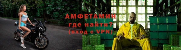 сатива Белокуриха
