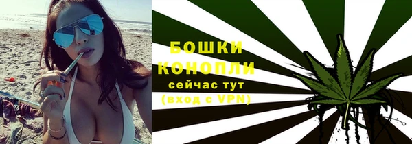 сатива Белокуриха