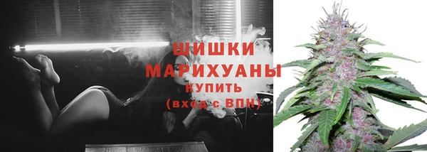 ГАЛЛЮЦИНОГЕННЫЕ ГРИБЫ Беломорск