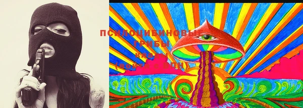 сатива Белокуриха