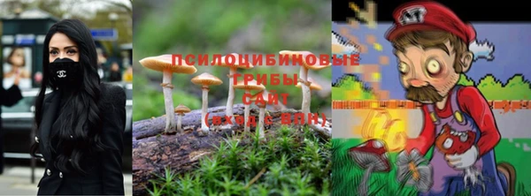 сатива Белокуриха