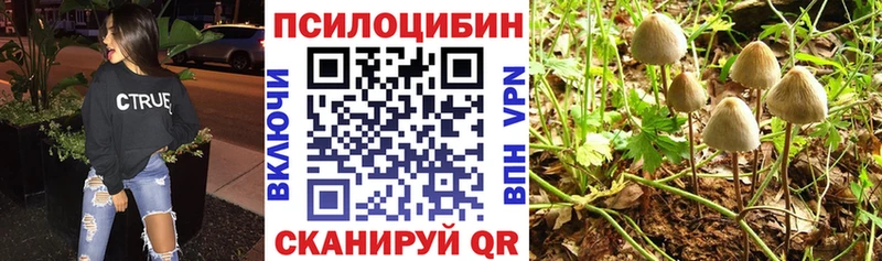 хочу   Озёрск  Галлюциногенные грибы GOLDEN TEACHER 
